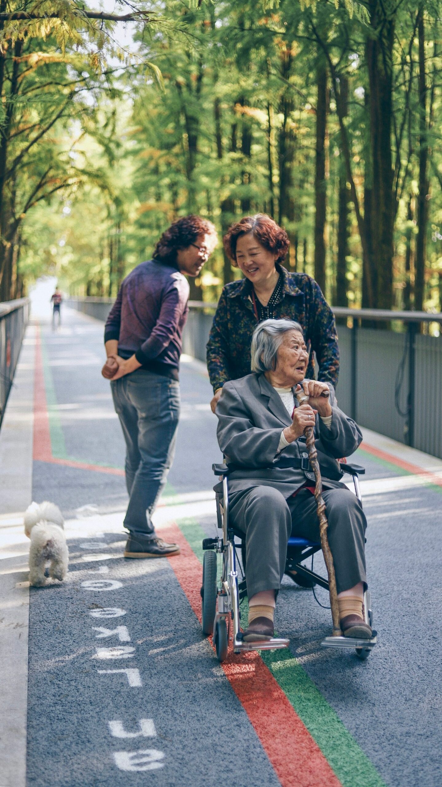 La importancia de la estimulación cognitiva en adultos mayores